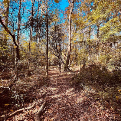 0 Smyrna Church Rd Pageland, SC 29728