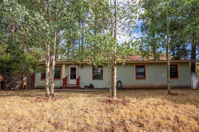 57 Pine Dr Bayfield, CO 81122