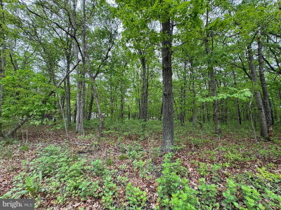 L15-02 S Ash Ave Absecon, NJ 08205