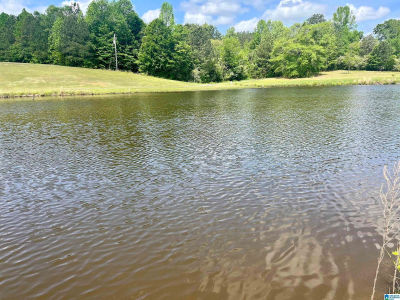 7 Mary Dr Roanoke, AL 36274