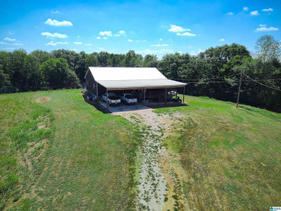 1690 Mount Moriah Rd Delta, AL 36258