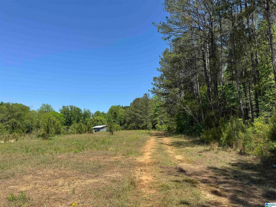 Satterwhite St #11.75 Roanoke, AL 36274
