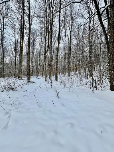 0 Brizzee Hollow Rd Genesee, PA 16923