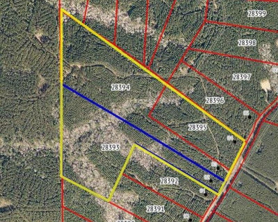 County Road 403 San Augustine, TX 75972