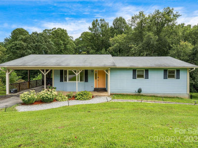 4155 Turnpike Rd Horse Shoe, NC 28742