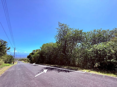 94-1575 Haehae St Naalehu, HI 96772