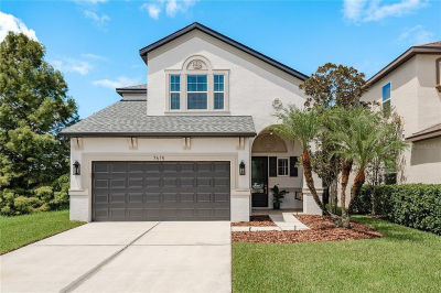 7615 Windchase Way Wesley Chapel, FL 33545