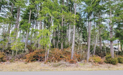 350 E Vine Maple Ln Union, WA 98592