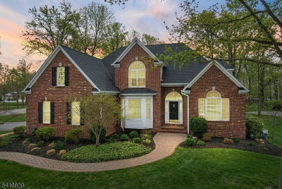 85 Catskill Ct Belle Mead, NJ 08502