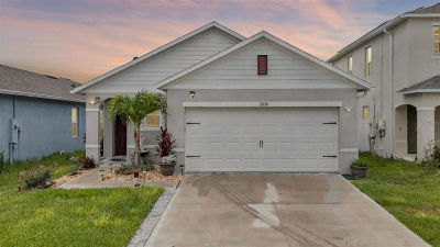 2838 Common Crane Ct Harmony, FL 34773