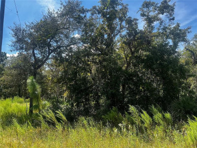 0 Crider Rd LOT 14 Brooksville, FL 34614
