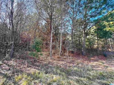 832 11th Ave Pleasant Grove, AL 35127