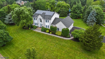 122 Sleepy Hollow Ln Belle Mead, NJ 08502