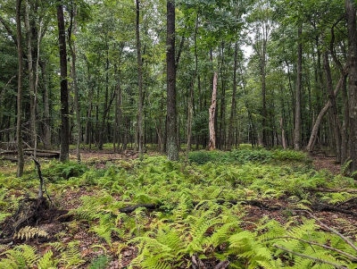 873 Burns Rd Venus, PA 16364