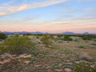 7716 N Shadows Desert Ln Marana, AZ 85653