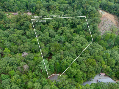 372 Emerald Springs Ln Ellijay, GA 30540