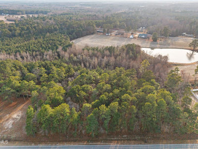 8407 Old Us Highway 421 LOT 4 Lillington, NC 27546