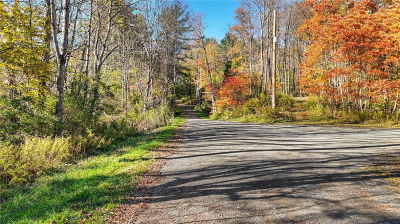 Deputron Hollow Rd #13 Brooktondale, NY 14817