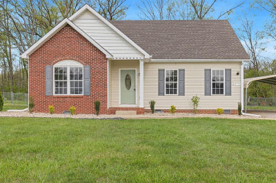 203 Molly Ave Franklin, KY 42134