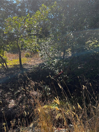 3236 Gleason St Cambria, CA 93428