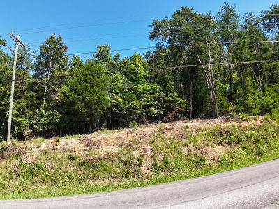 0 Flat Woods Rd Dandridge, TN 37725