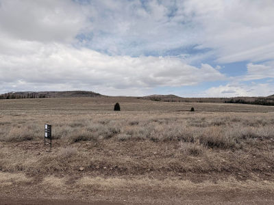 2563 E Meadow Lake Dr Brian Head, UT 84719