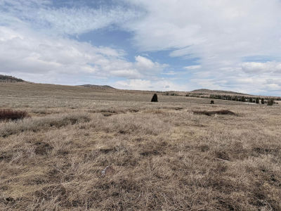 2541 E Meadow Lake Dr Brian Head, UT 84719