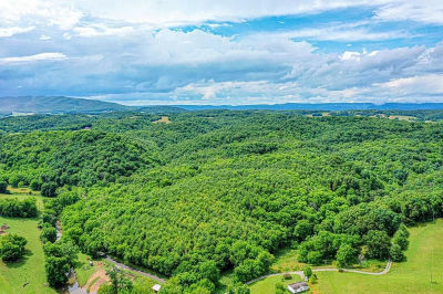 4662 Cedar Springs Rd Rural Retreat, VA 24368