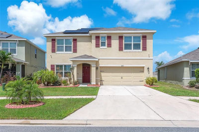 14135 Arbor Pines Dr Riverview, FL 33579