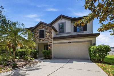 11717 Albatross Ln Riverview, FL 33569
