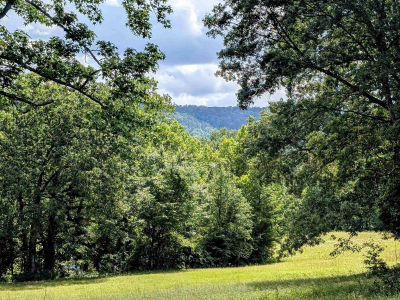 Unk State Hwy #144 Smithville, OK 74957