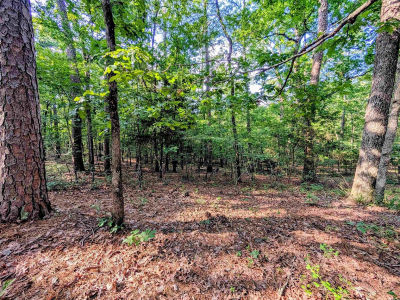 198 Cathedral Pines Ln Mena, AR 71953