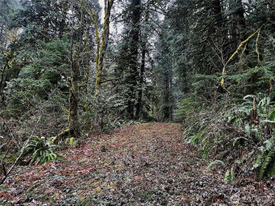 0 Wildlife Dr Washougal, WA 98671