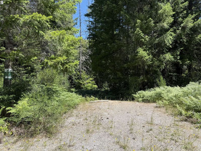 Lahar Ln #9 Cougar, WA 98616