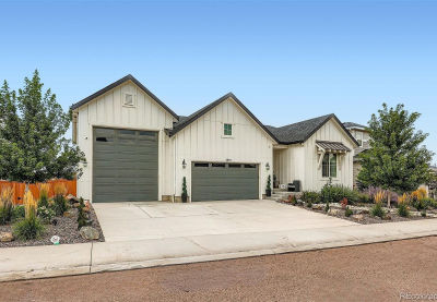 2875 Keepsake Way Castle Rock, CO 80109