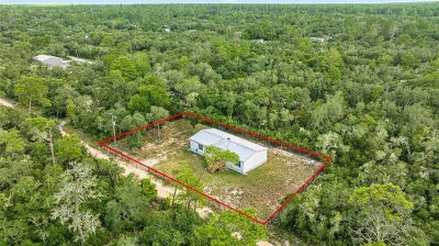 15594 NE 233rd Pl Fort Mc Coy, FL 32134