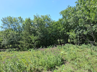 209 Texas Dr Palmer, TX 75152