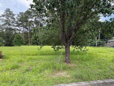 20 W Lakeview Dr Columbia, MS 39429