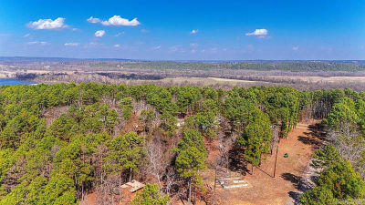 225 Ledwedge Rd Bigelow, AR 72016