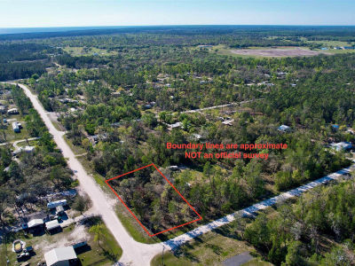 0 Reed Dr Perry, FL 32348