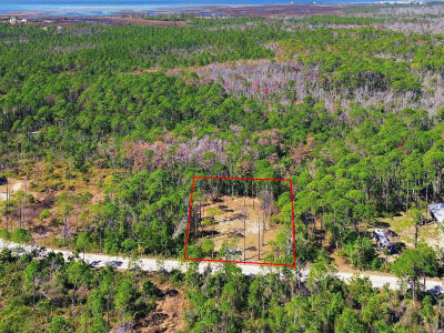 Jody Morgan Rd Perry, FL 32348