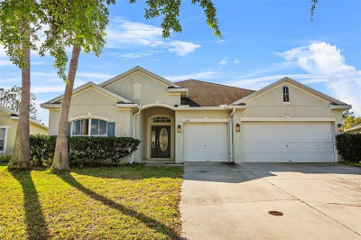 3657 Daydream Pl Saint Cloud, FL 34772