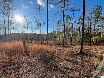 50864 Highway 22 Tract #1 Wadley, AL 36276