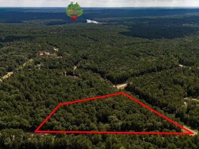 LOT 2&3 Remington Rd LOT 2-3 Huntsville, TX 77340