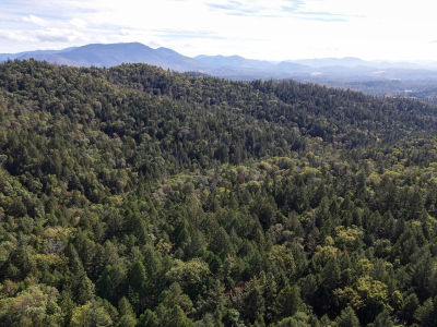 Quartz Creek Rd #R301574 Merlin, OR 97532