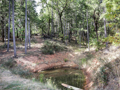 Quartz Creek Rd Merlin, OR 97532