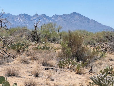 14465 S Ezra Pl #358 Tucson, AZ 85736