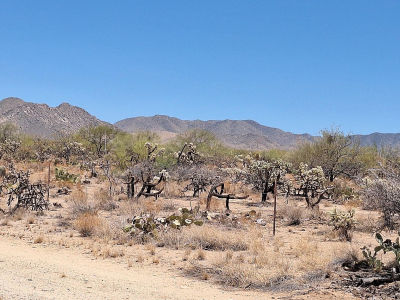 14454 S Ezra Pl #360 Tucson, AZ 85736