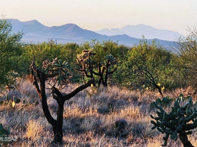 15035 S Muldoon Ave #115 Tucson, AZ 85736