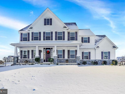 411 Peggy Ln New Freedom, PA 17349